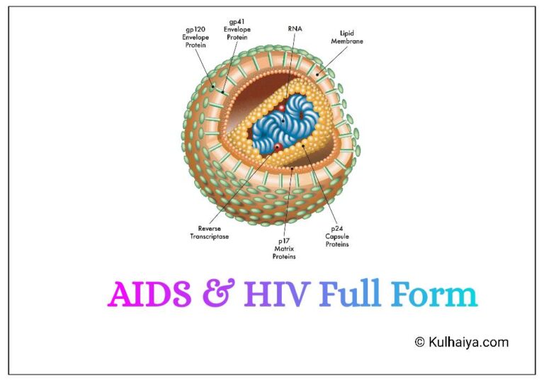 AIDS & HIV Full Form In Hindi, एड्स व एचआईवी को हिन्दी में क्या कहते हैं
