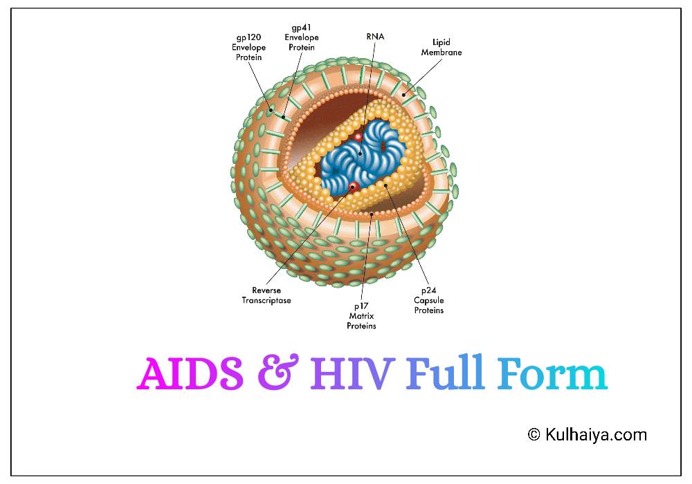AIDS & HIV Full Form