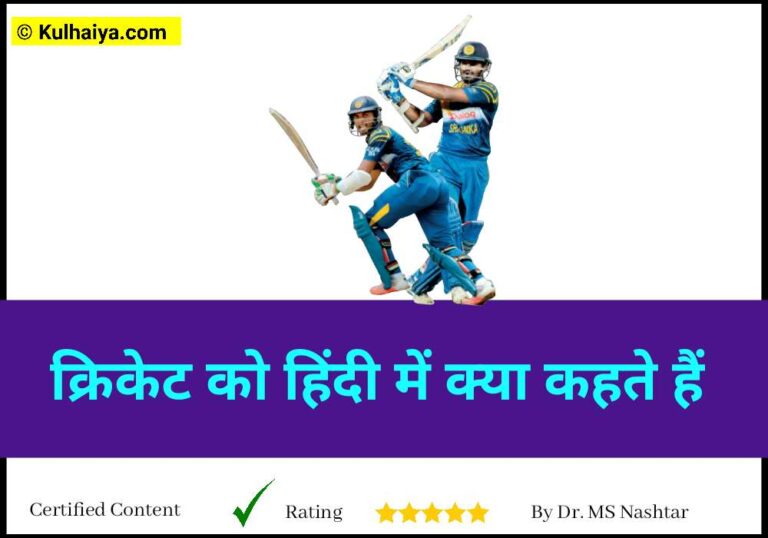 Cricket Ko Hindi Me Kya Kehte Hai? डिक्शनरी मीनिंग भी जानिए