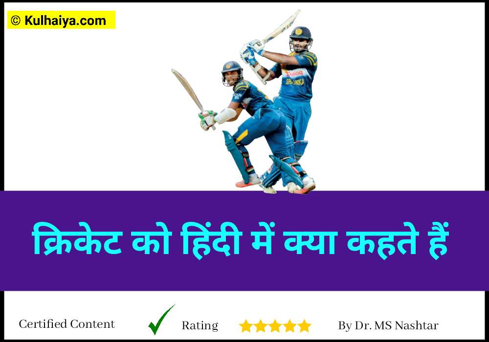 cricket ko hindi mein kya kahate hain