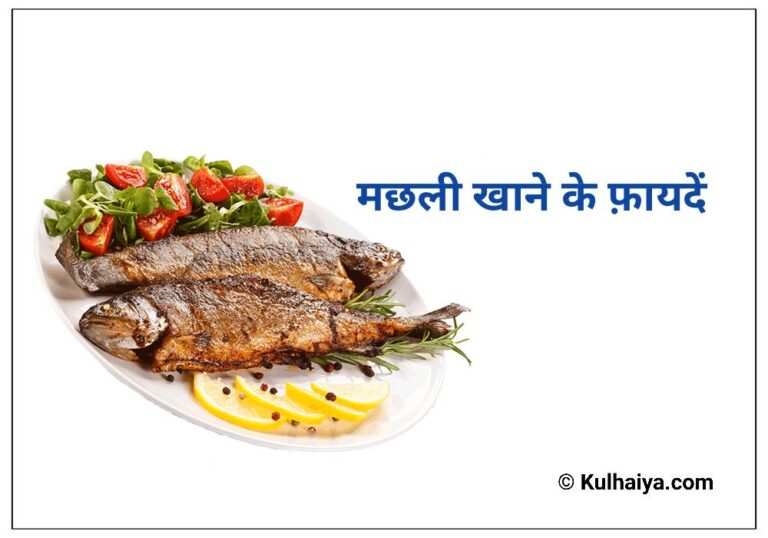 Machli Khane Ke Fayde साथ में जानिए मांगुर मछली खाने के फायदे ही फायदे हैं