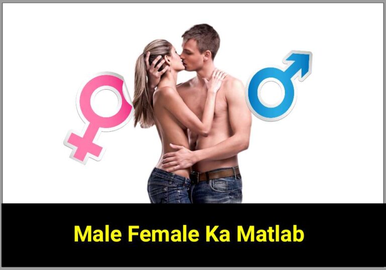 Male Female Ka Matlab, आसान भाषा में फोटो के साथ जानिए