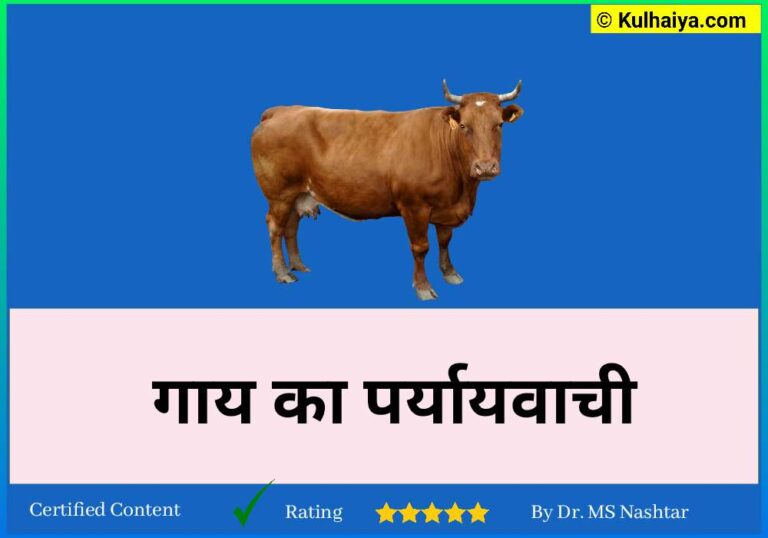 गाय के कितने पर्यायवाची शब्द होते हैं? 10 हिंदी और 6 अंग्रेजी