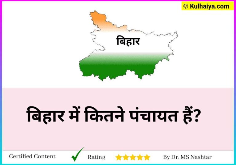 Bihar Mein Kul Kitne Panchayat Hai? मार्च 2024 का अपडेट जानिए